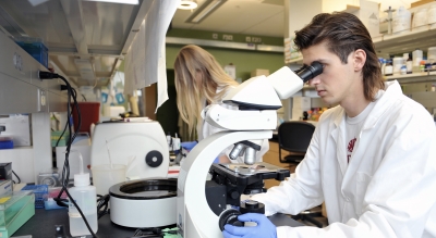 WSU-inspired national gene-editing task force begins work